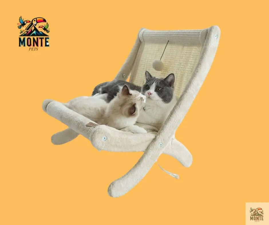 Katzen-Loungesofa – Grau 60×40 cm | MONTE PETS