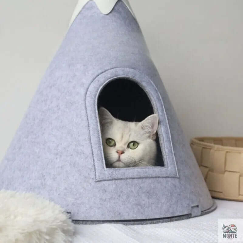 Katzenhöhle - SnowMountain