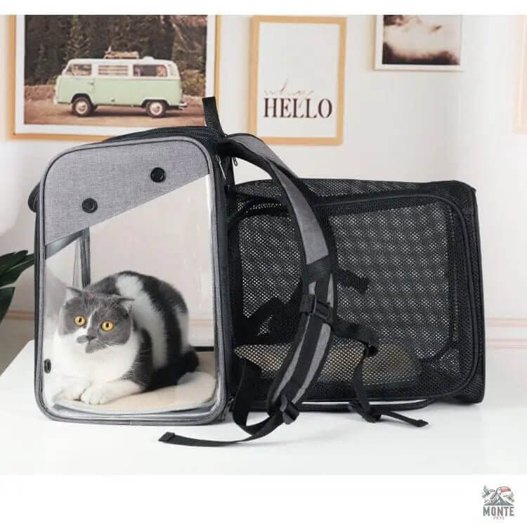 TravelBuddy – Katzenrucksack mit Sichtfenster und Belüftung | MONTE PETS