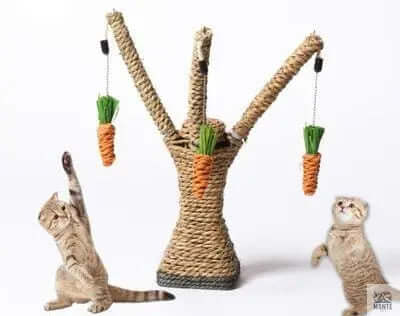 Katzenspielzeug - Karottenbaum Naturfarben 27×10×8 cm | MONTE PETS