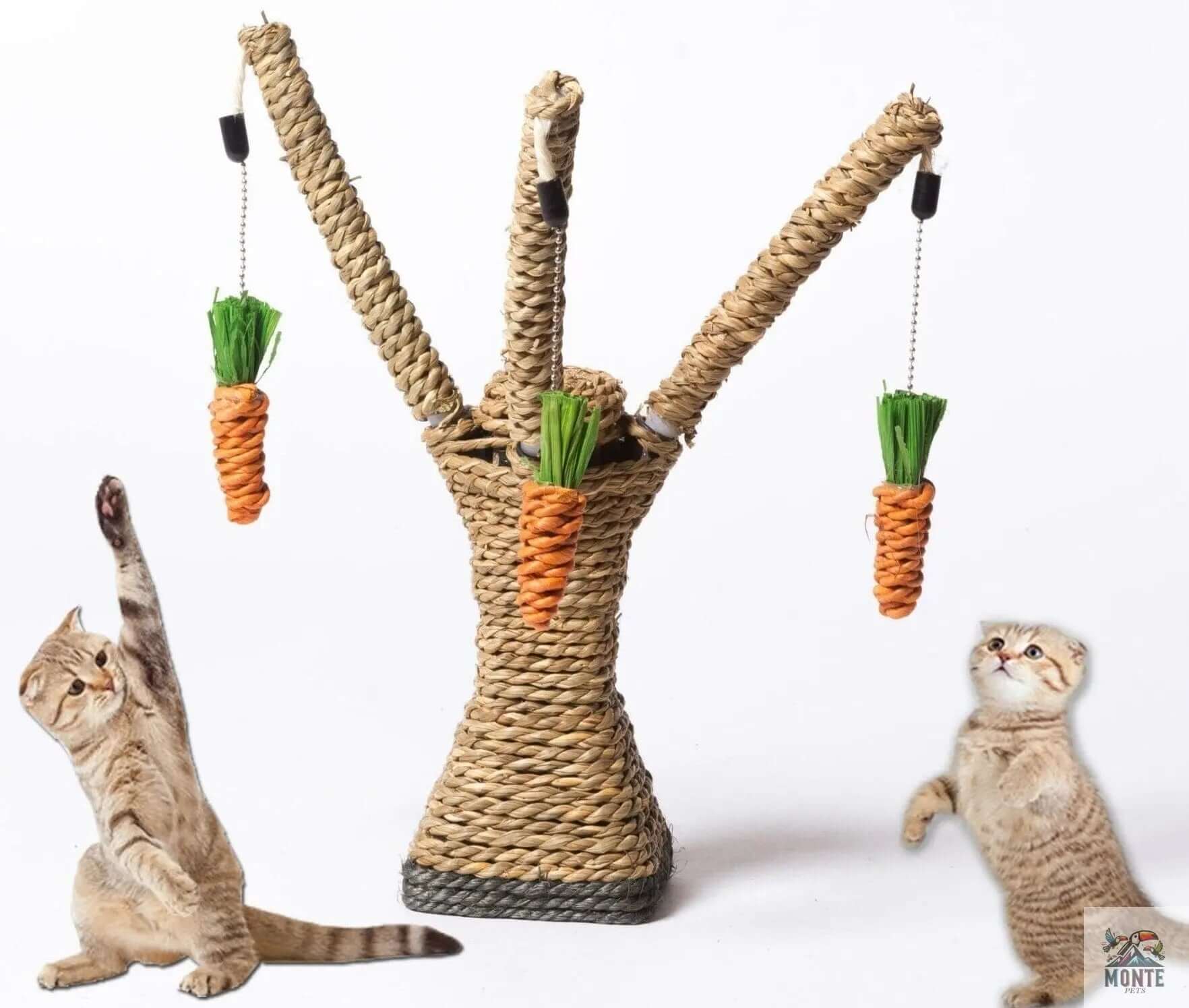 Katzenspielzeug - Karottenbaum Naturfarben 27×10×8 cm | MONTE PETS