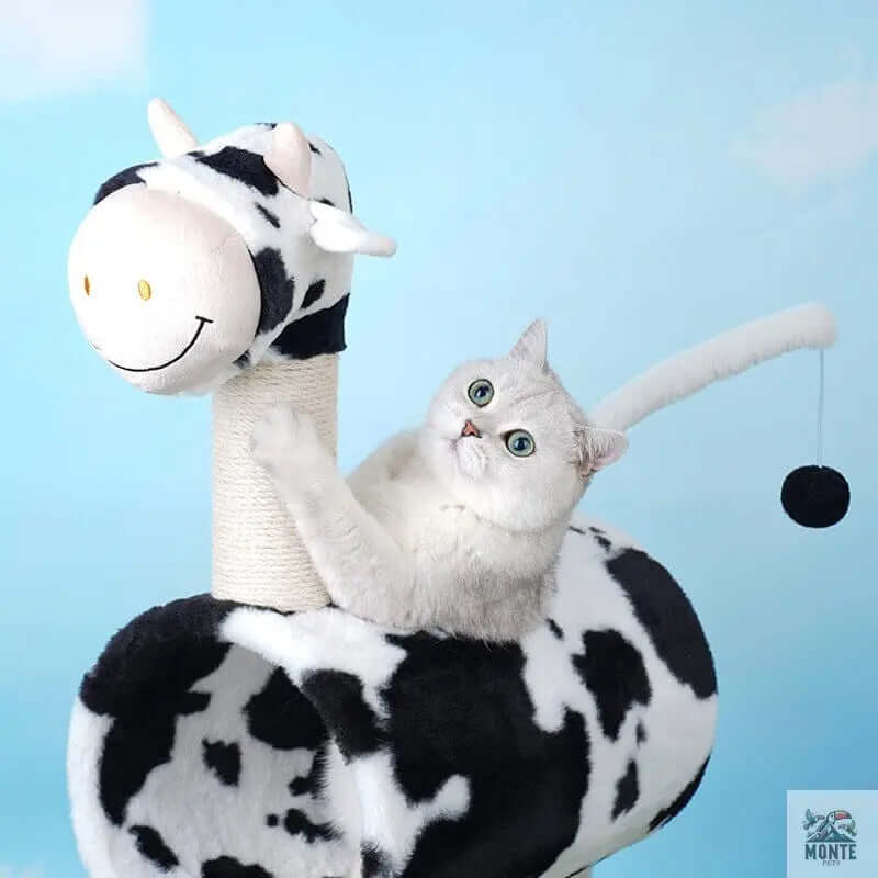 Katzenturm - Muuuh Spaß Schwarz-Weiß 50x35x89 cm | MONTE PETS