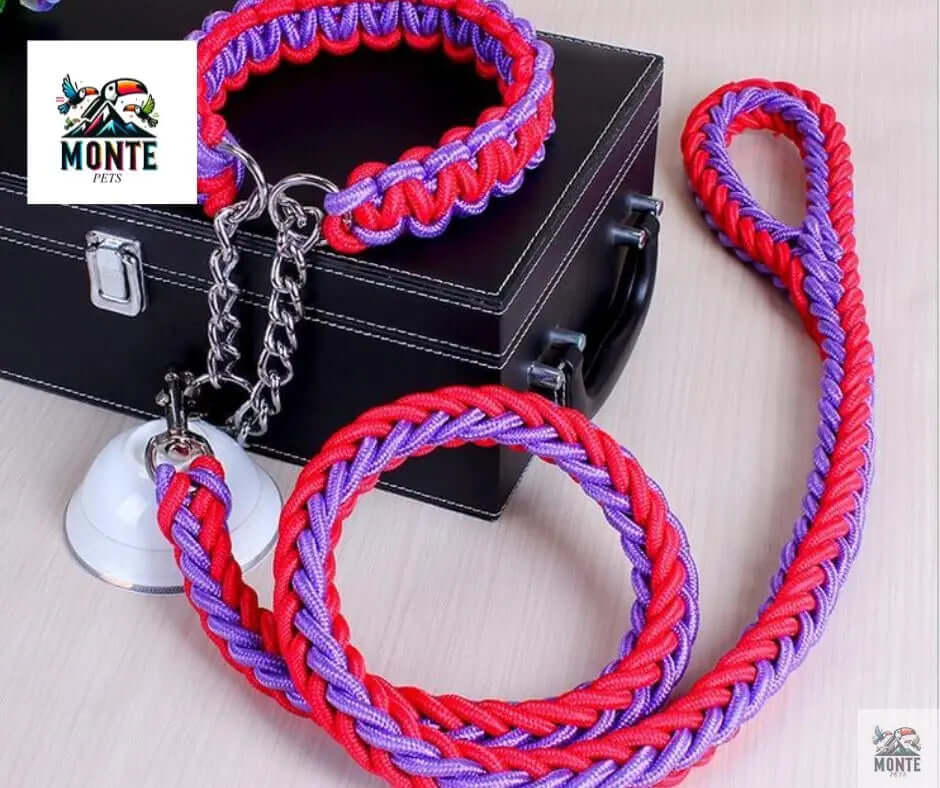 KomfortPlus Hundeleine und Halsband-Set Hundesicherheit Rot M | MONTE PETS