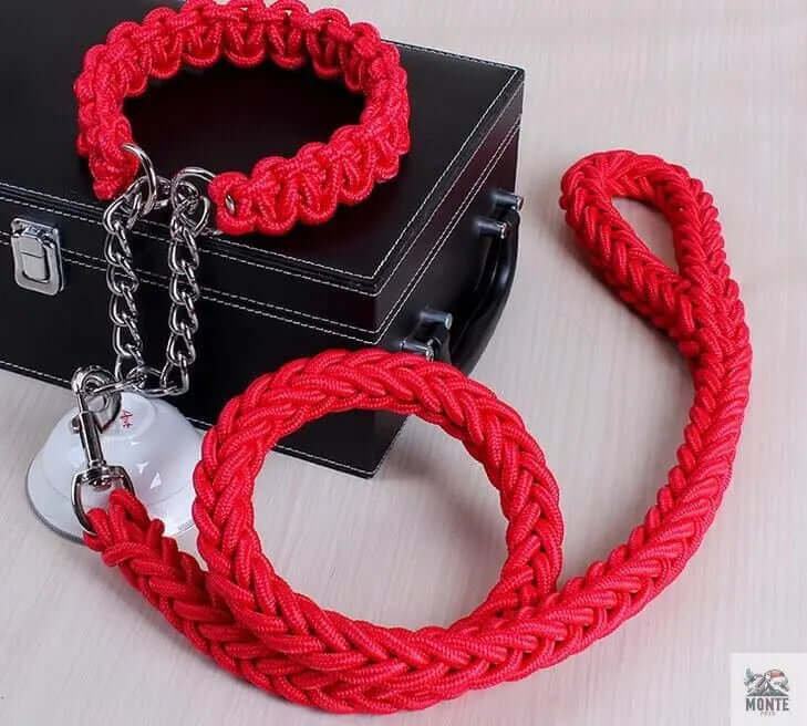 KomfortPlus Hundeleine und Halsband-Set Hundesicherheit Rot M | MONTE PETS