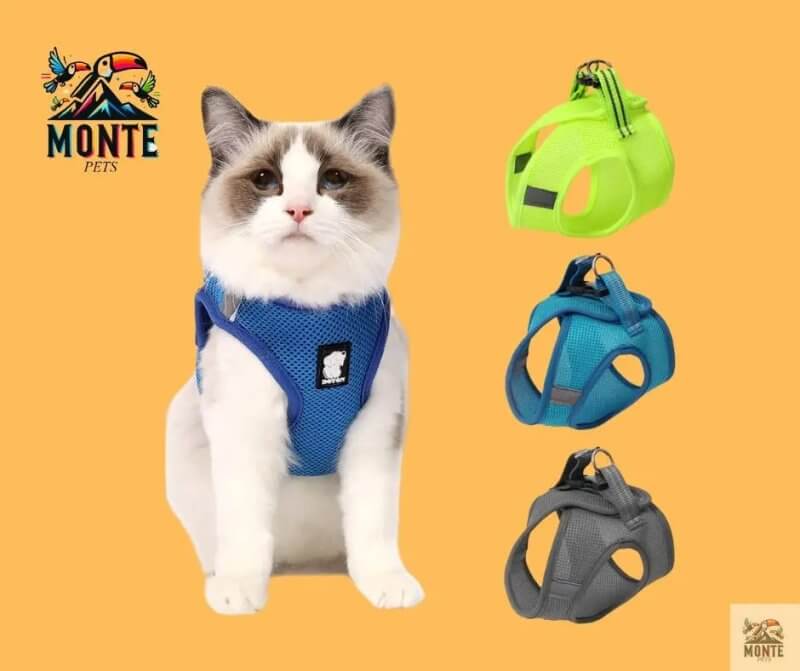 Dotty der Entdecker – Katzengeschirr mit Leine | MONTE PET