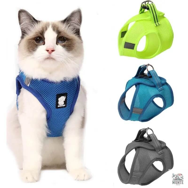 Dotty der Entdecker – Katzengeschirr mit Leine | MONTE PET