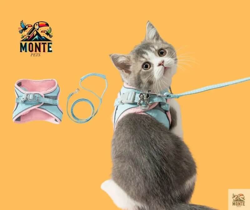 SafeWalk Plus – Verstellbares Katzengeschirr mit Leine für Katzen | MONTE PETS