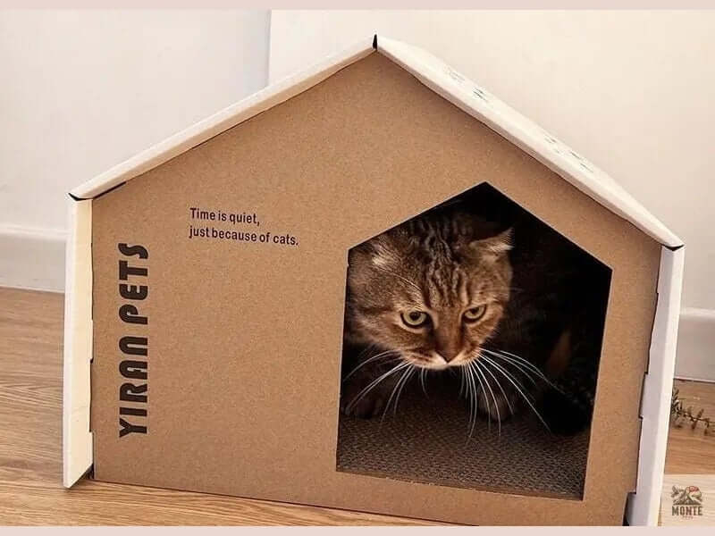 Claw Haven – Kratzfestes Katzenhaus aus Wellpappe | MONTE PETS-MONTE-PETS