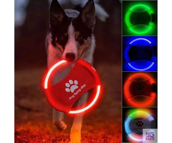 LightFlyer Pro – Leuchtender Hundefrisbee mit LED | MONTE PETS