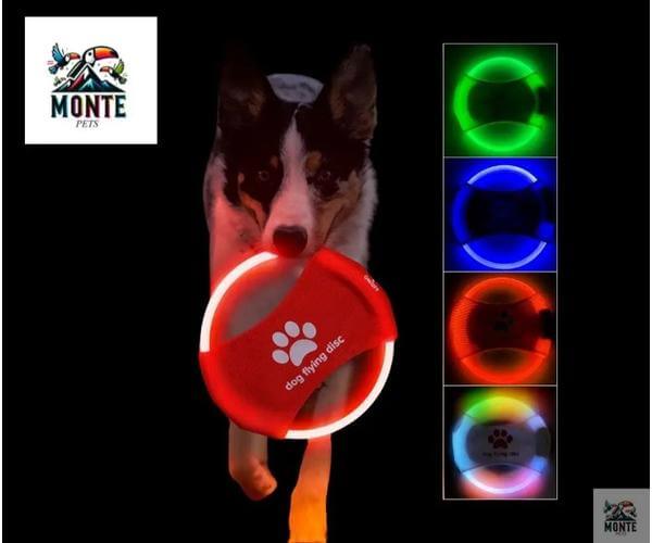 LightFlyer Pro – Leuchtender Hundefrisbee mit LED | MONTE PETS