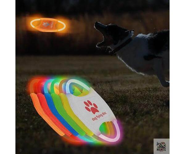 LightFlyer Pro – Leuchtender Hundefrisbee mit LED | MONTE PETS
