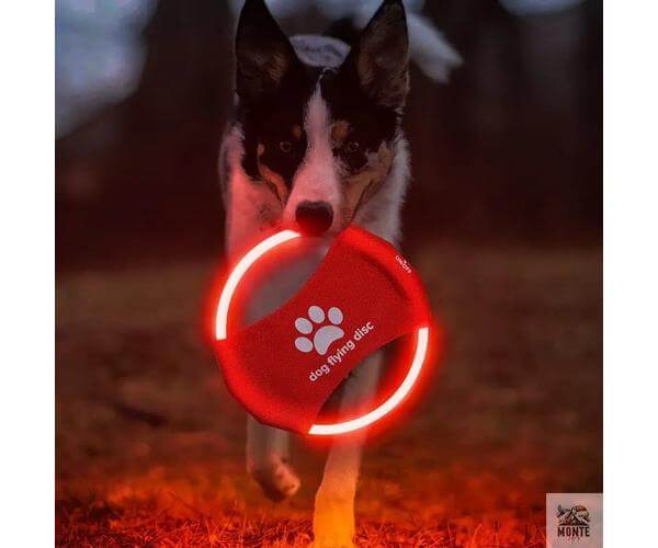 LightFlyer Pro – Leuchtender Hundefrisbee mit LED | MONTE PETS