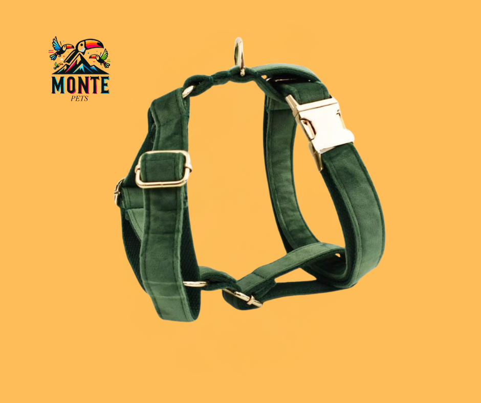 Samt Hundehalsband Set | Komfort & Sicherheit