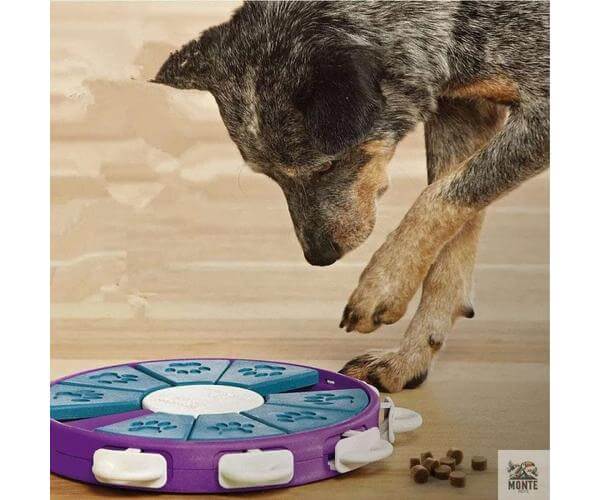 PawMaster – Intelligentes Hundespielzeug mit Leckerli-Fächern | MONTE PETS