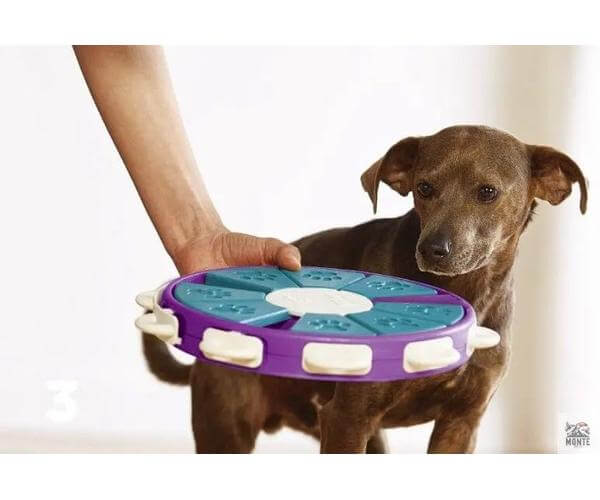 PawMaster – Intelligentes Hundespielzeug mit Leckerli-Fächern | MONTE PETS