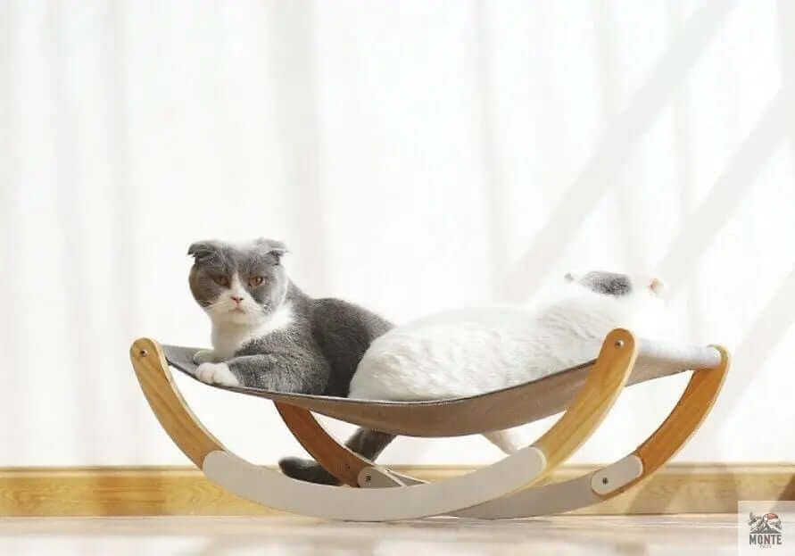 Premium-Katzenwiege - DreamSwing