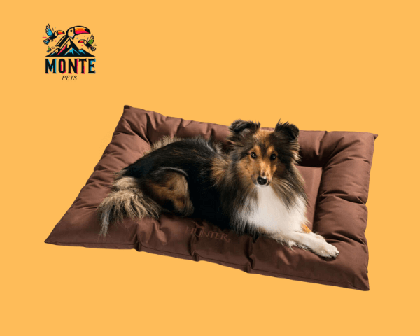 Hunter Gent Hundebett Braun 100 x 70 cm – Antibakteriell | MONTE PETS