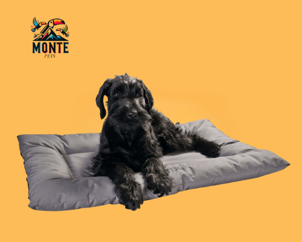 Hunter Hundebett Grau 100 x 70 cm | MONTE PETS