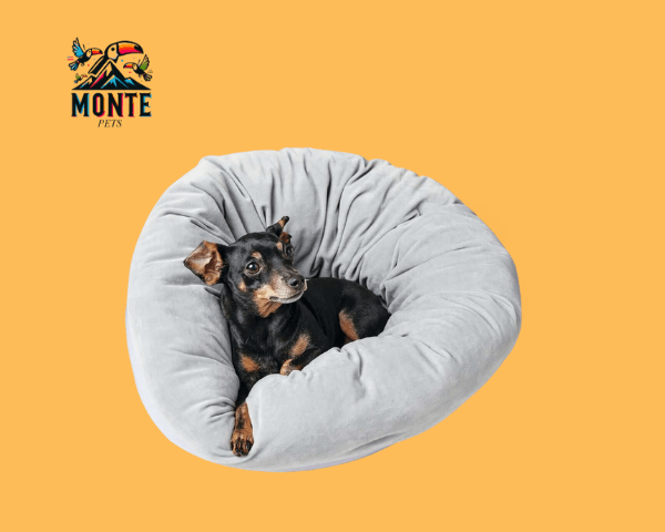 Hunter Miranda Hundebett Anthrazit 50 x 50 cm | MONTE PETS