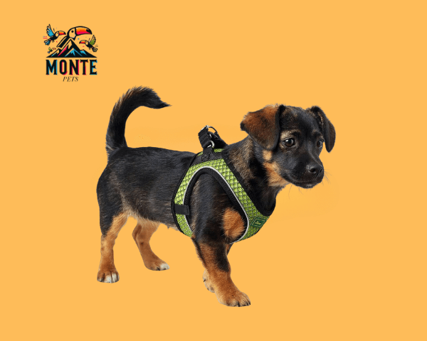 Hunter Comfort Hundegeschirr Grün 58–63 cm | MONTE PETS