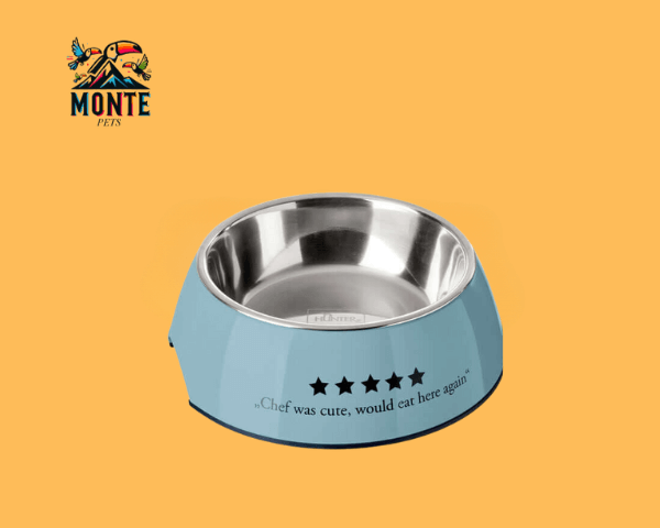 Futternapf Edelstahl Blau 350 ml von MONTE PETS mit hygienischem Design und lustigem Spruch.
