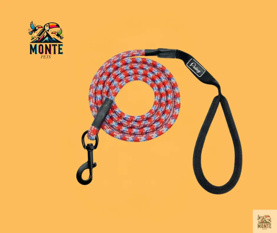 Robuste Hundeleine | MONTE PETS