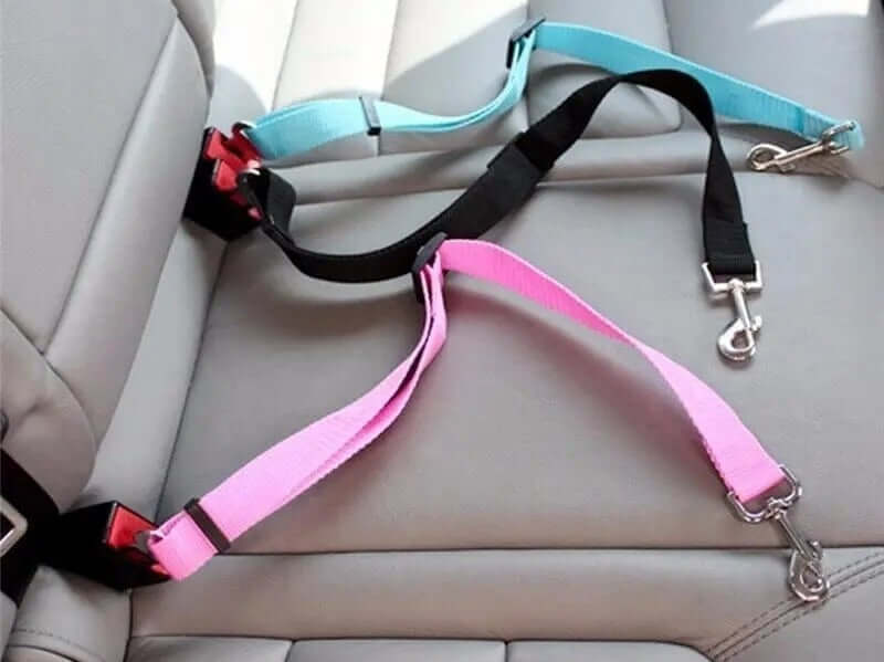 SafeRide Pro – Verstellbarer Sicherheitsgurt für Hunde im Auto | MONTE PETS