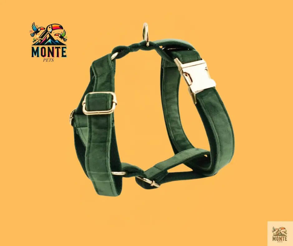 Samt Hundehalsband Set | MONTE PETS