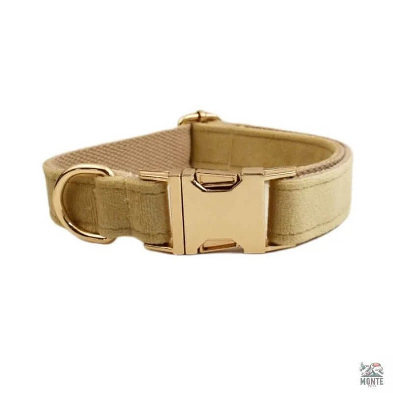 Samt Hundehalsband Set | MONTE PETS