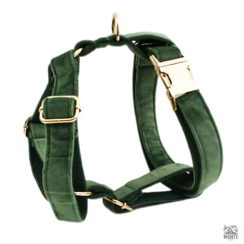 Samt Hundehalsband Set | MONTE PETS