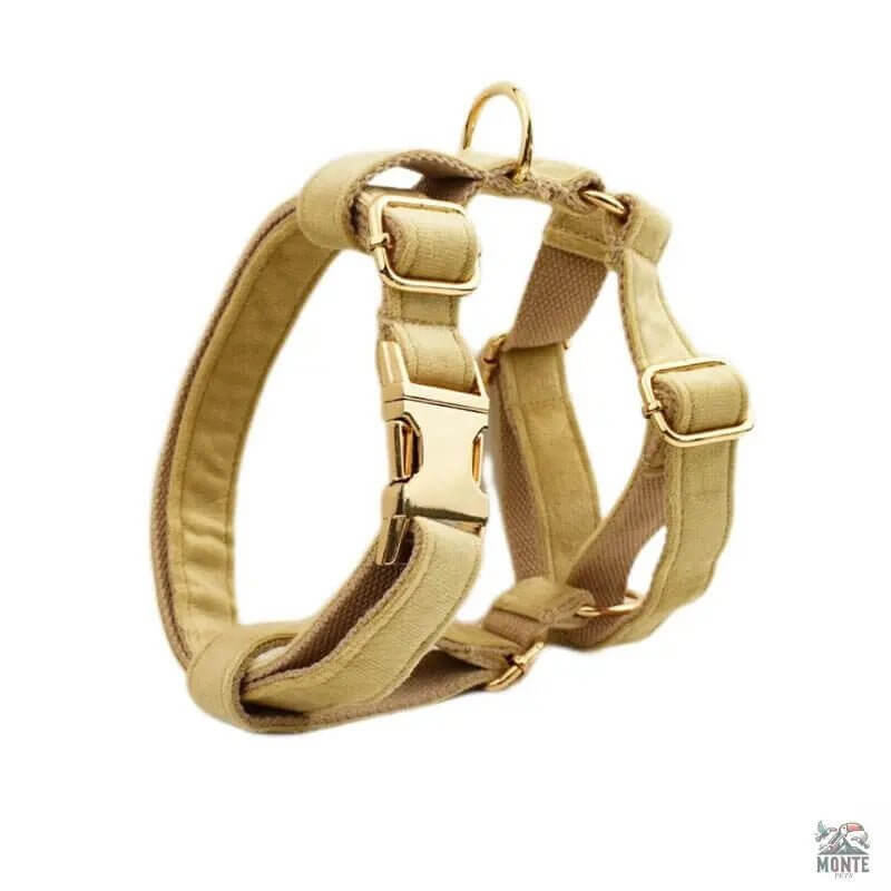 Samt Hundehalsband Set | MONTE PETS