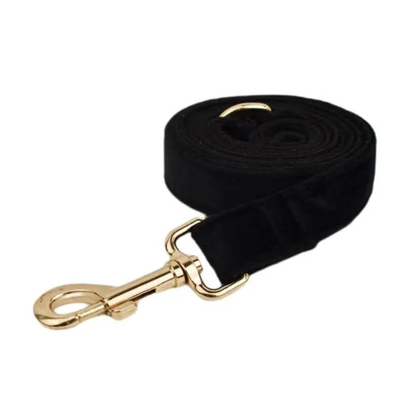 Samt Hundehalsband Set | MONTE PETS