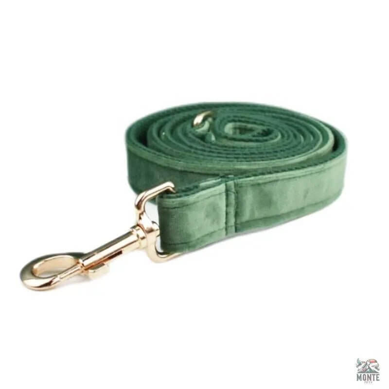 Samt Hundehalsband Set | MONTE PETS