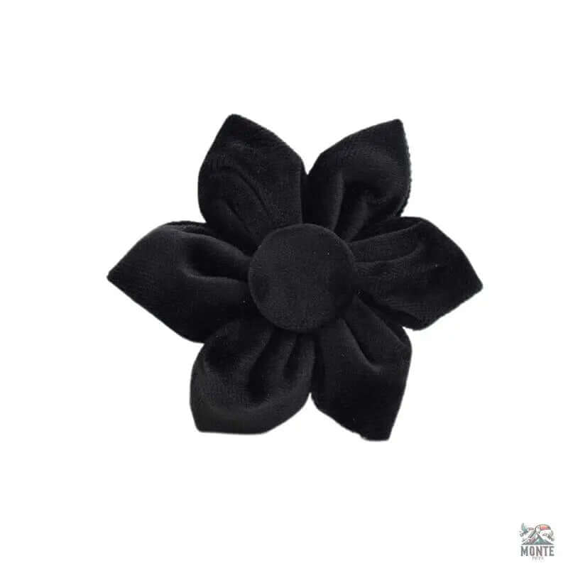 Samt Hundehalsband Set | MONTE PETS