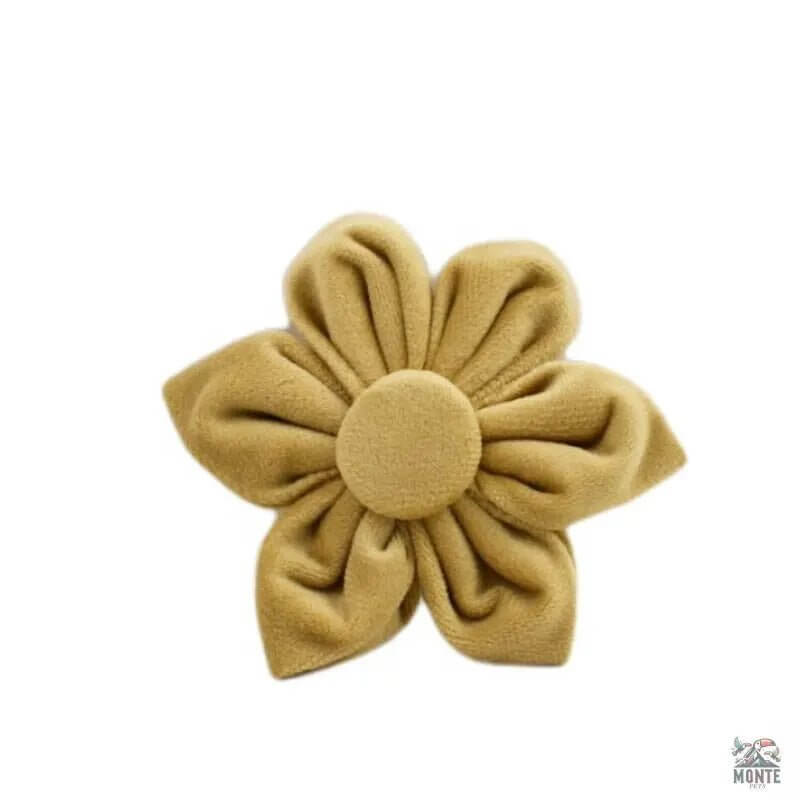 Samt Hundehalsband Set | MONTE PETS