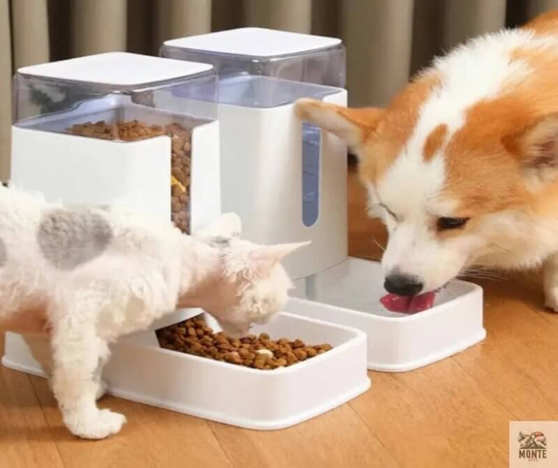 SmartPet Versorger – Automatischer Futter- und Wasserspender für Haustiere | MONTE PETS