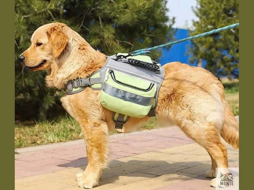 TrailBuddy Pro – Hundetragegeschirr für Outdoor-Abenteuer | MONTE PETS