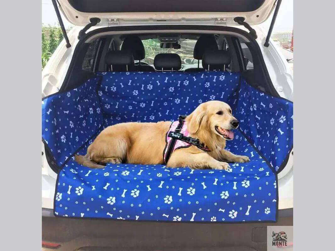 CargoSafe Deluxe – Kofferraumschutzdecke für Hunde | MONTE PETS