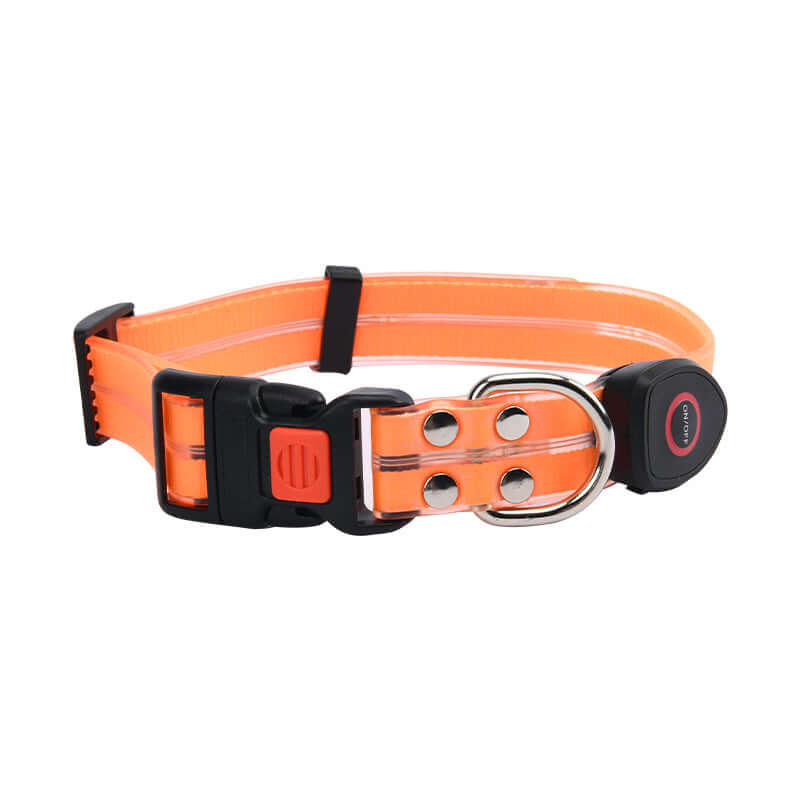 LED Collar Light-emitting Hand Holding Rope Pet Supplies 
