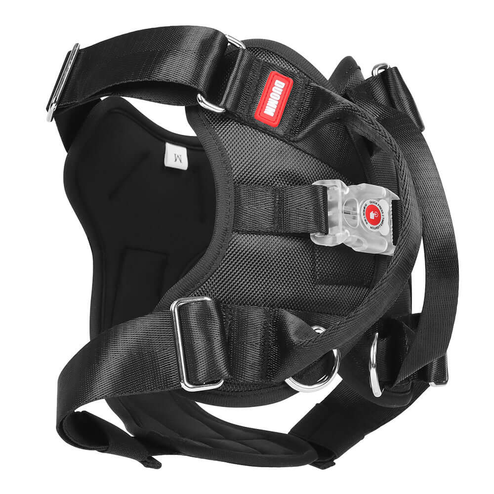 LED Luminous Chest Strap Explosion Proof 