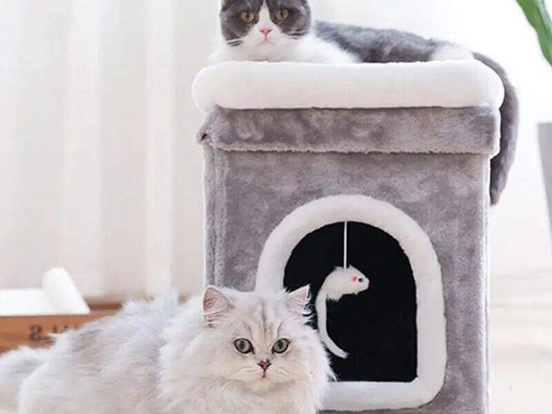 Doppellagige Katzenhütte Double-Layer Deluxe | MONTE PETS