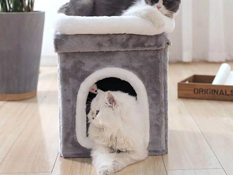 Doppellagige Katzenhütte Double-Layer Deluxe | MONTE PETS