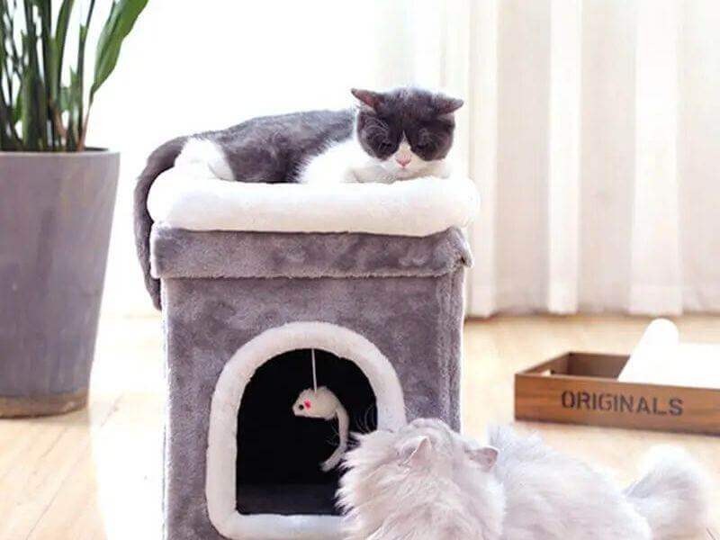 Doppellagige Katzenhütte Double-Layer Deluxe | MONTE PETS