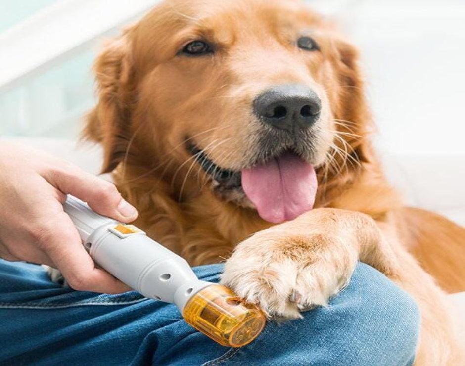 Elektrischer Nagelschleifer - PetPediCare MONTE-PETS 