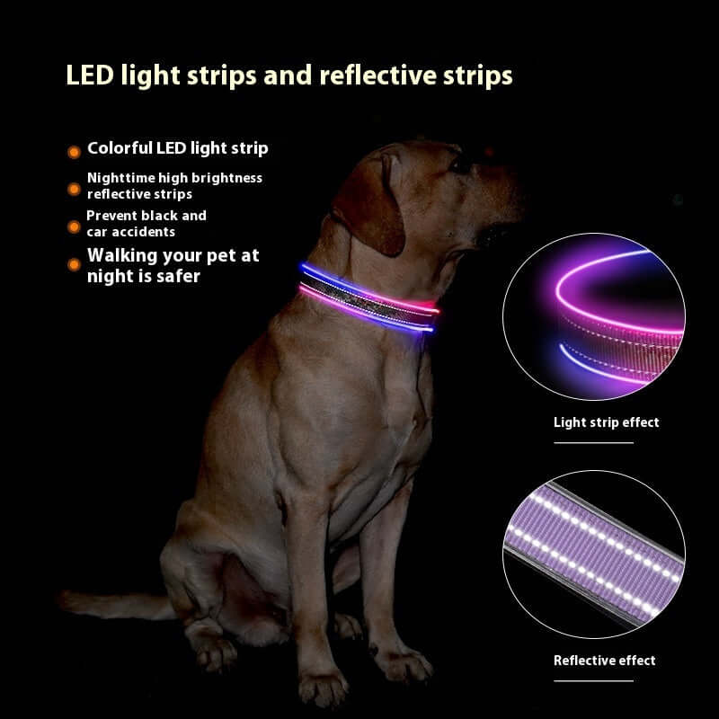 LED Pet Luminous Printing Reflective Stripe USB Charging Shiny Dog Collar 