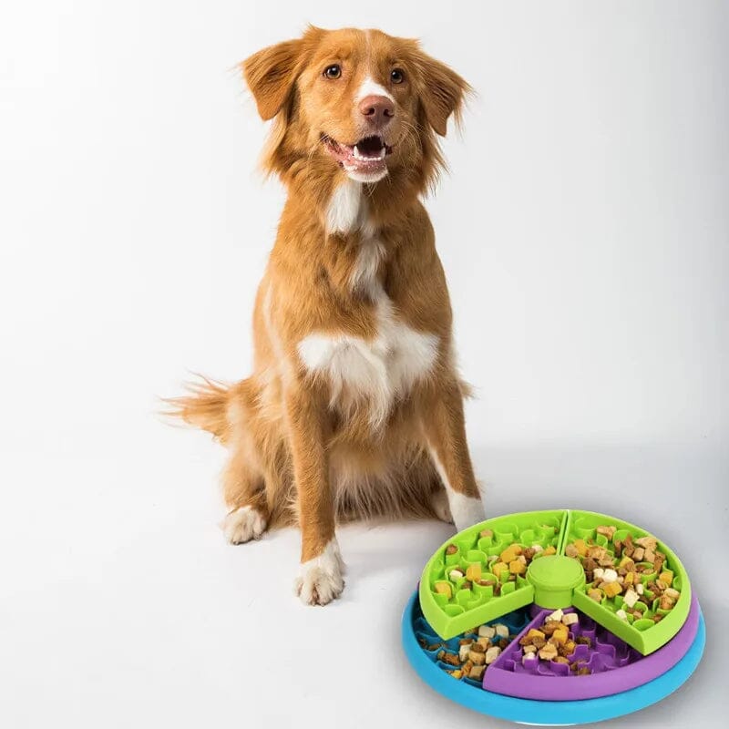 Fressnapf Hund - Think & Snack MONTE-PETS 