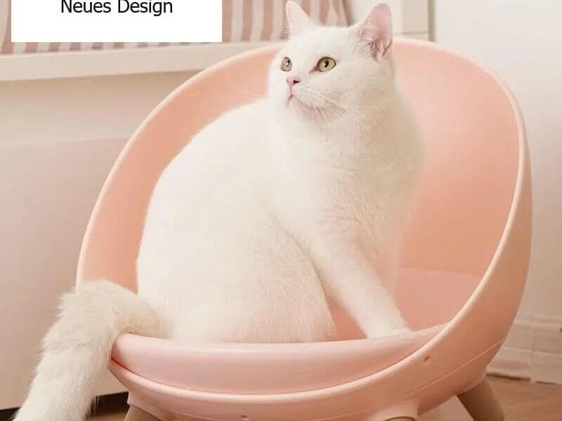 Gemütliches Kuschelnest – Bett für Katzen & kleine Hunde | MONTE PETS