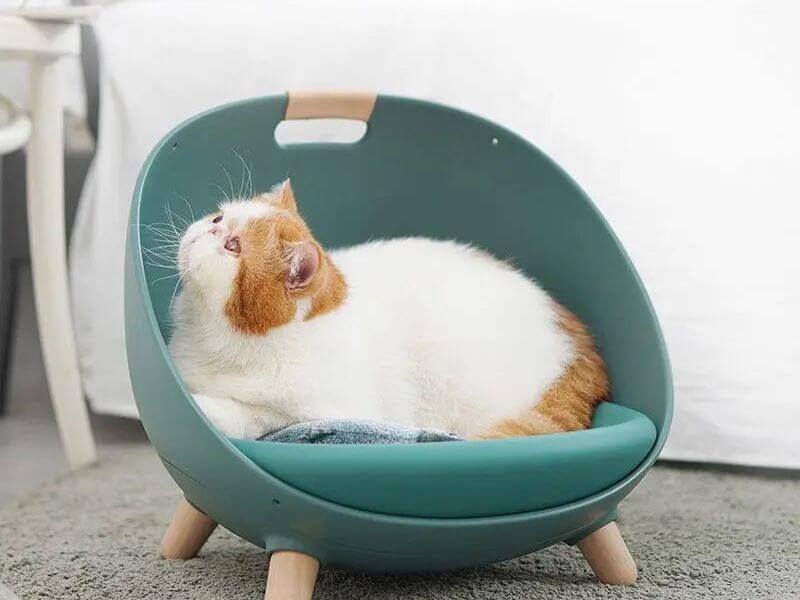 Gemütliches Kuschelnest – Bett für Katzen & kleine Hunde | MONTE PETS