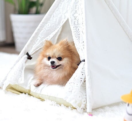 Haustier-Tipi - CozyTeepee - 50x50x60 cm MONTE-PETS 