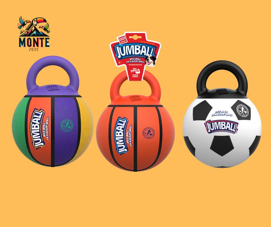 Hunde-Trainingsball - Jumball MONTE-PETS 